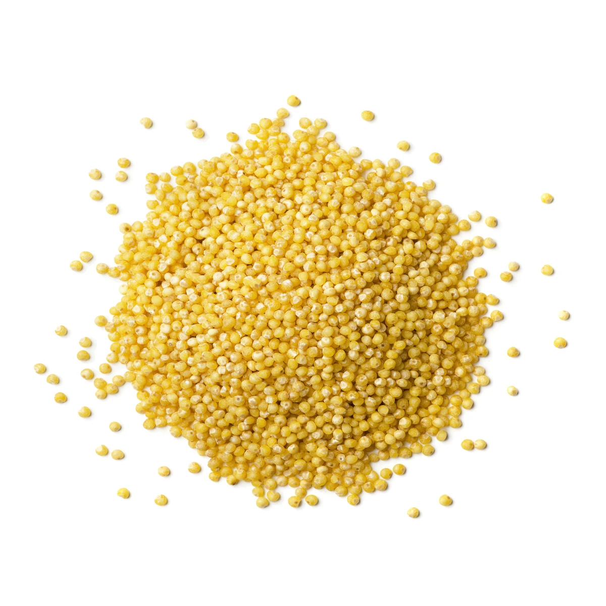 
Quality yellow millet grain natural food, food wholesale 