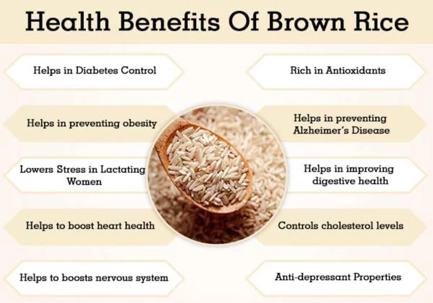 Оптовая продажа вьетнамский производитель коричневый рис с коротким зерном для макробиотической диеты питание японского коричневого риса
