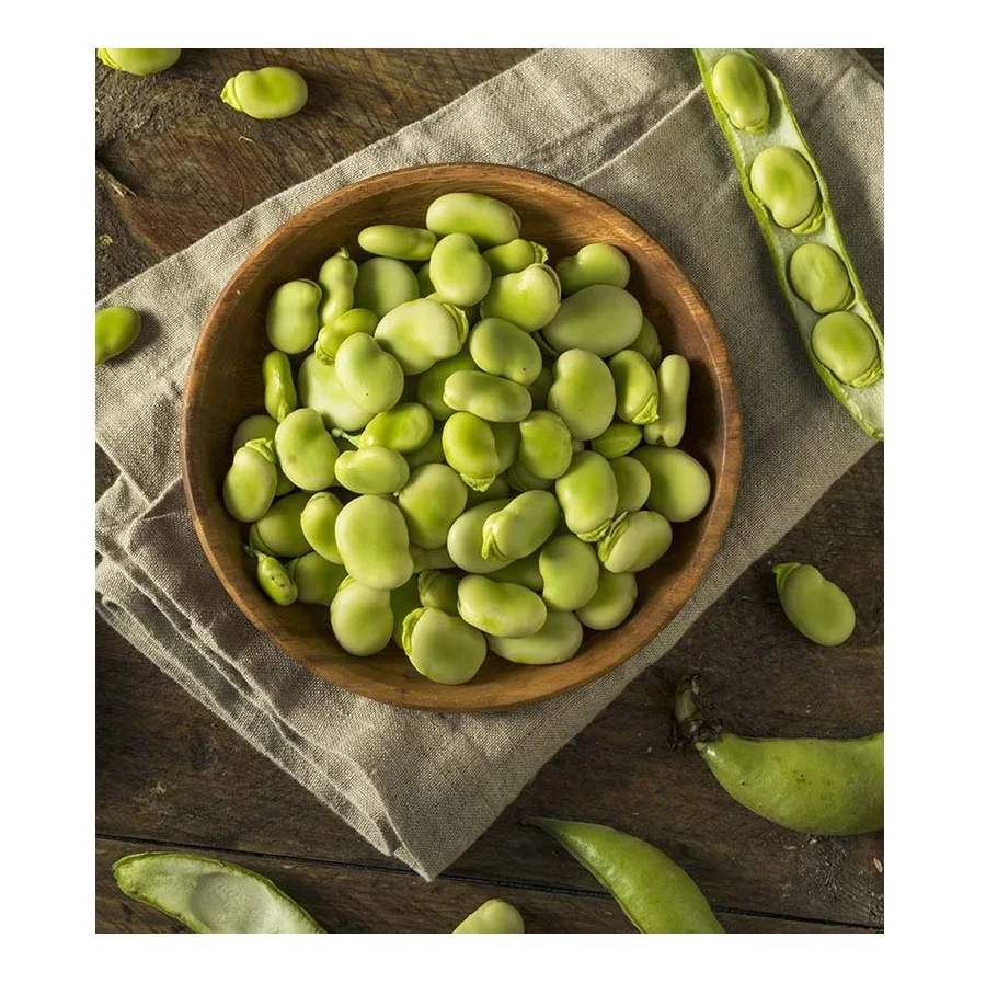 
Top Quality fresh Broad Beans for sale At Cheapest Wholesale Price in Bulk Quantity 
