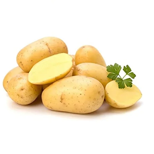 Wholesale Price High Quality Export Oriented 100% Organic Fresh Potato Oval Shape Potatoes From Bangladesh
