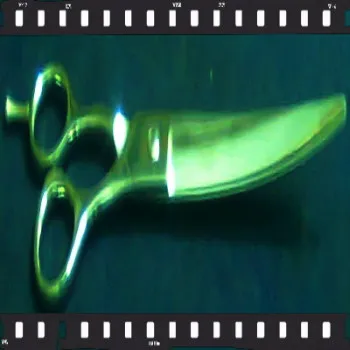 Top quality 440-C Professional Pet Hair Cutting Shear Scissors Curved Blade