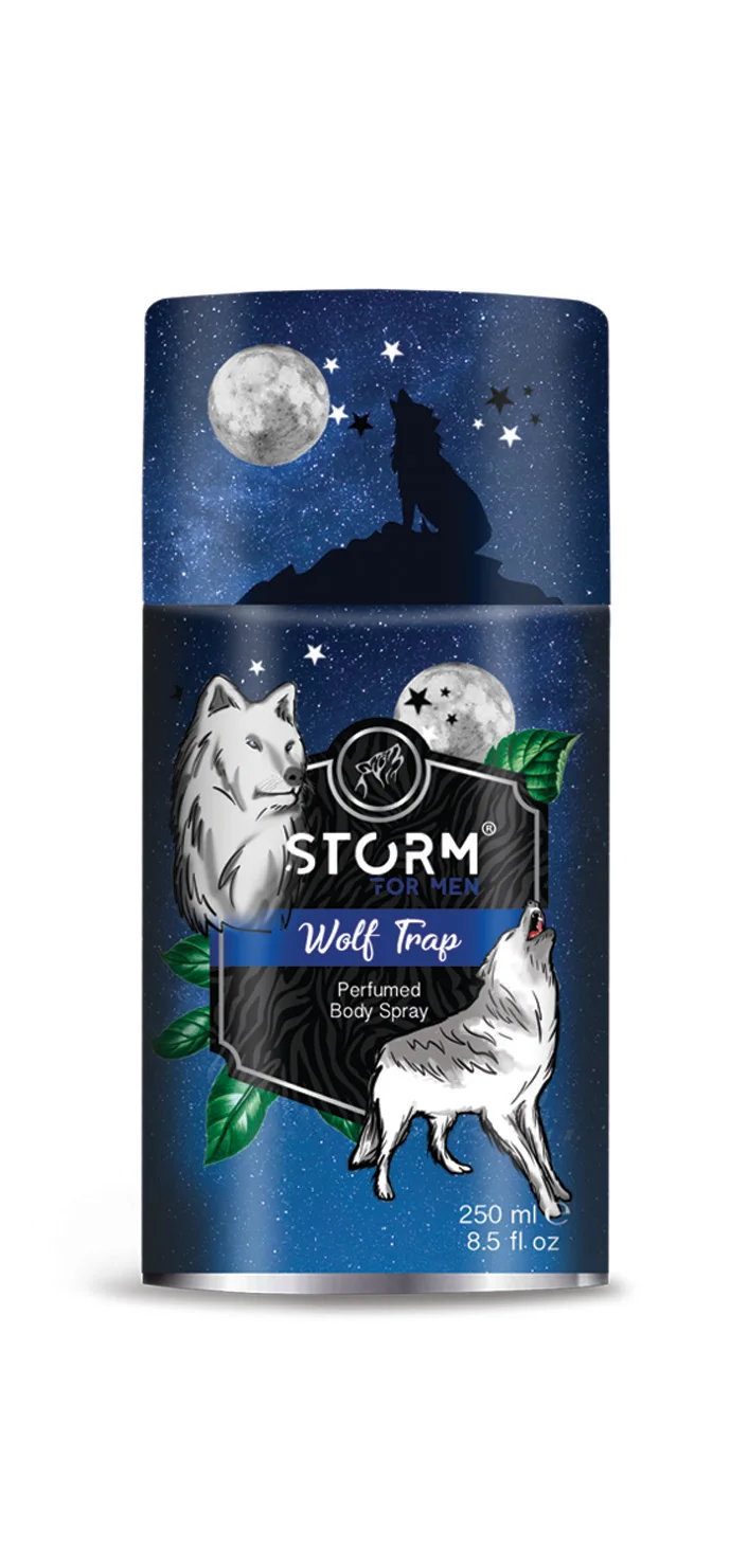  Большой контейнер STORM 250 мл лучшего качества парфюмерный дезодорант спрей для тела мужчин Лучшая цена различные ароматы Сделано в