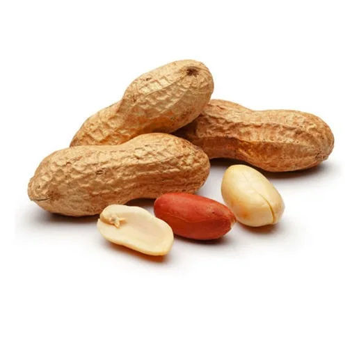 
Top quality Raw groundnut inshell peanut in shell or roasted 
