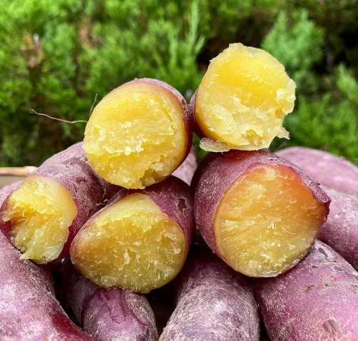  Экспорт продукции // японский сладкий картофель мед из Вьетнама для оптовой продажи только $1/ Ms Sofia + 84 789946878