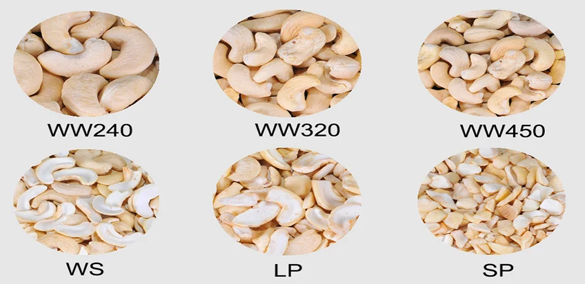 
Cashew kernels with reasonable prices/All Size Cashew Nut from Vietnam 