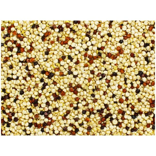 Tricolor quinoa , mix quinoa at best price from PERU