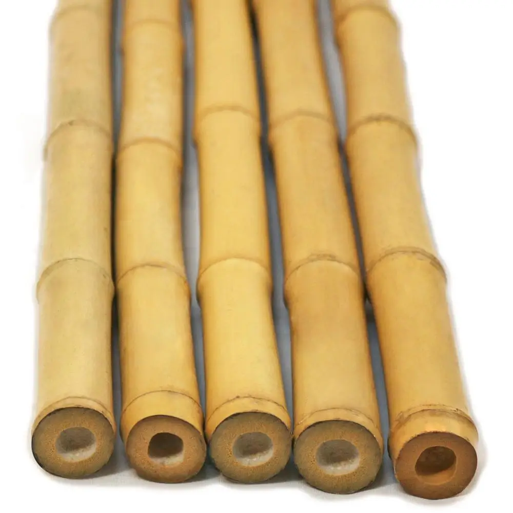High Quality Natural Color Tam Vong Dry Solid Bamboo Poles from Vietnam Decoration Construction