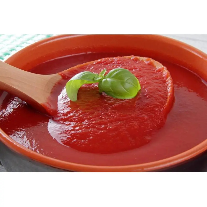 BEST QUALITY MADE IN ITALY TOMATO SAUCE WITH BASIL GR 700 IN GLASS HOT SALE