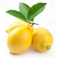 Perfect Price & quality Egyptian lemon