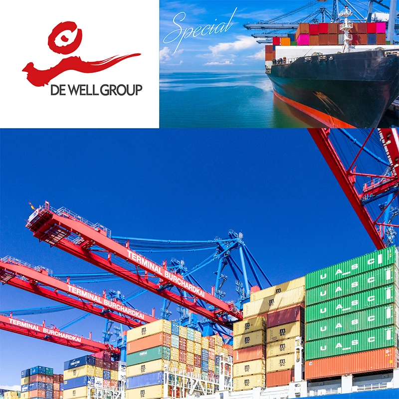 China Forwarding Agent Shipping by Sea Freight from to USA Shanghai Los Angeles FCL Logistics