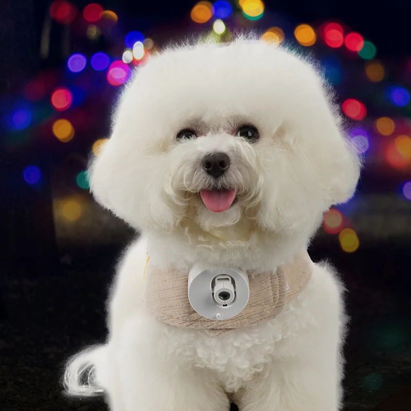 Pet social light projection LED customized photo name pet lights dog go out projection light Easy to carry