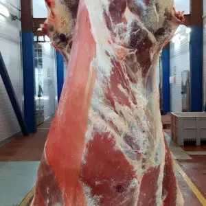 Halal Frozen boneless beef/Cattle meat/ Bufallo meat for sale