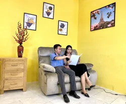 Sofa bed upholstered in velvet fabric with compact assembly design (electrical condition)