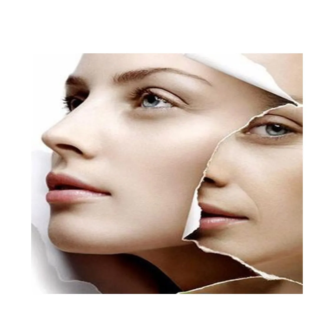 Cosmetic plant cell toner for hyaluronic acid toner