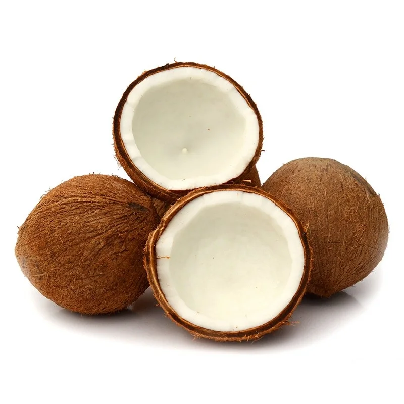 Organic Natural Coconut Dry Fruit Bulk Wholesale Fresh Mature Coconut Crop Sweet Water Semi Husked Coconut From Bangladesh