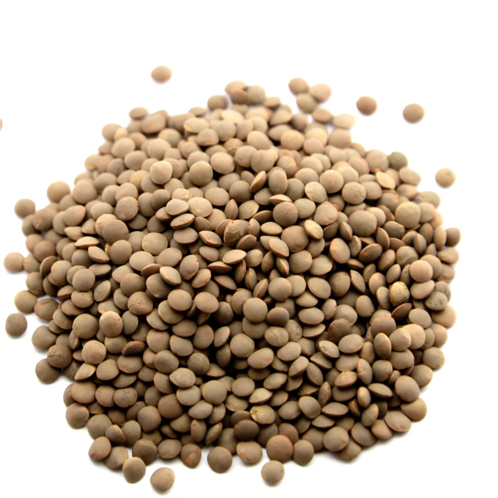 Hiqh quality red lentils in bulk big bags, wholesale price