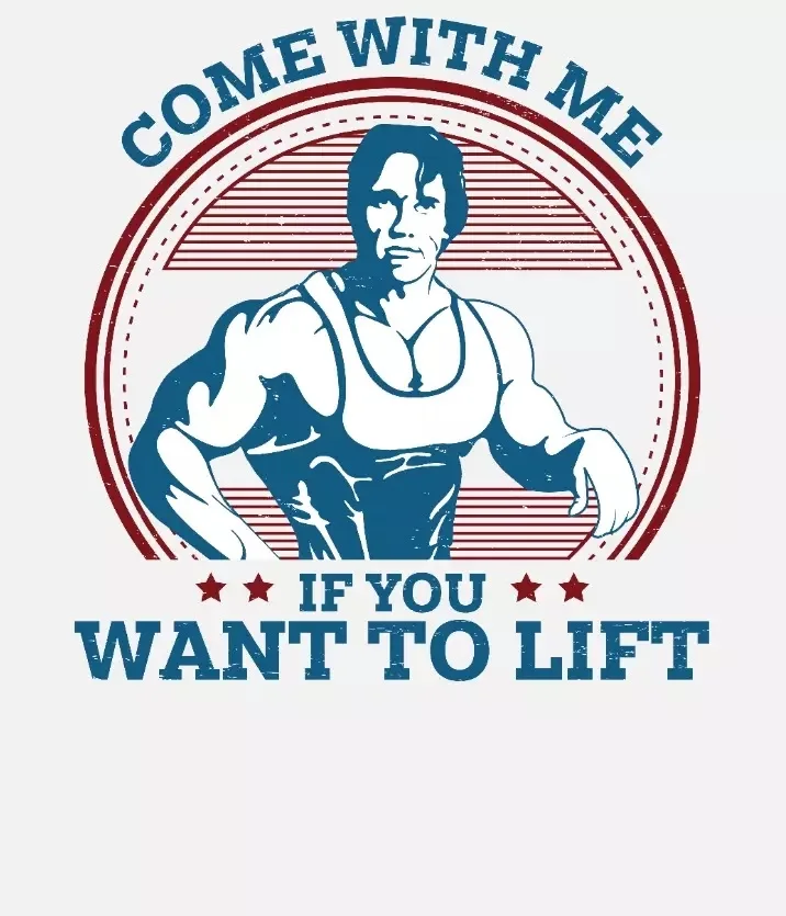 Heat Transfer Logo/ Label/ Branded Heat Transfer Stickers for T Shirt, Flag