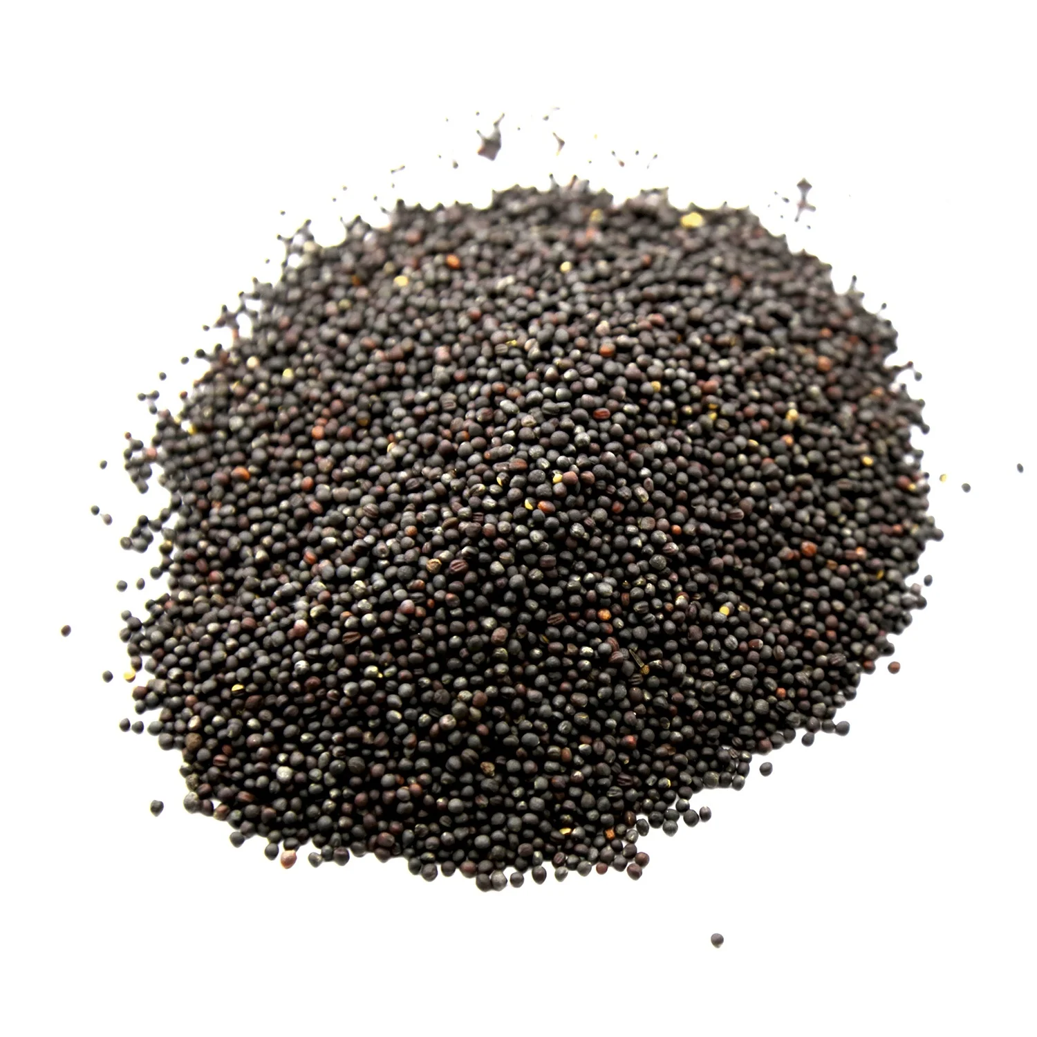 Рапса отличного качества, любые требования к качеству, от производителя