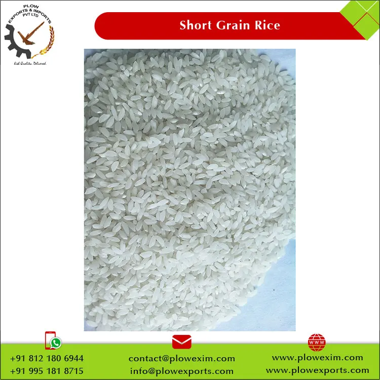 India Manufacture Short Grain Raw Rice Swarna Rice 5% Broken Short Grain Swarna Rice