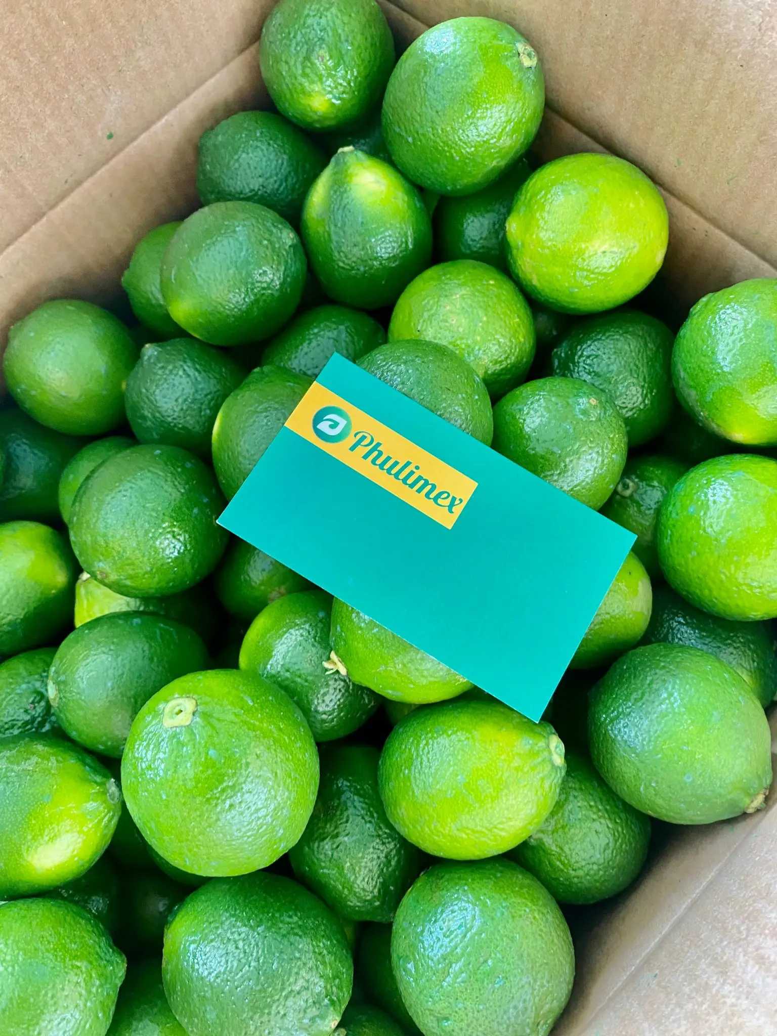 FRESH LEMON, FRESH LIME FROM VIETNAM BEST QUALITY FOR EXPORT whatsapp +84902948089