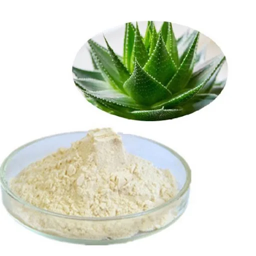 Органический порошок алоэ вера для волос ингредиент веганов Ms праздник + 84845639639