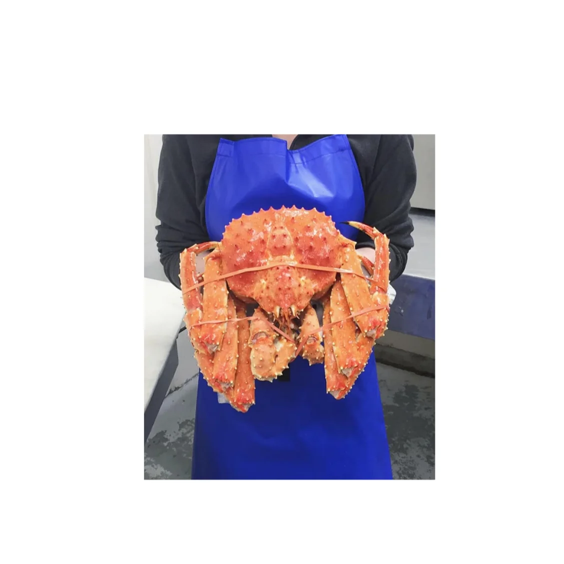 crab meat suppliers russian king crab south africa wholesale bulk cheap frozen crab prices