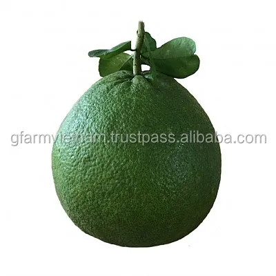 
2019 new Fresh pomelo Vietnam for sale with best price 