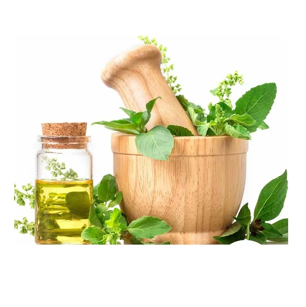 Wholesale Best Price Supplier of NATURAL BASIL OIL with Fast Delivery