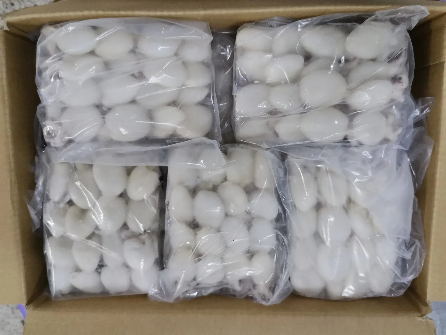 Malaysia Seafood Frozen Whole Cleaned Baby Cuttlefish With Best Price  For Good Quality