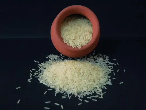 1509 SELLA WHITE BASMATI Wholesale Factory Price 1509 Factory Supply Rice Rich Quality
