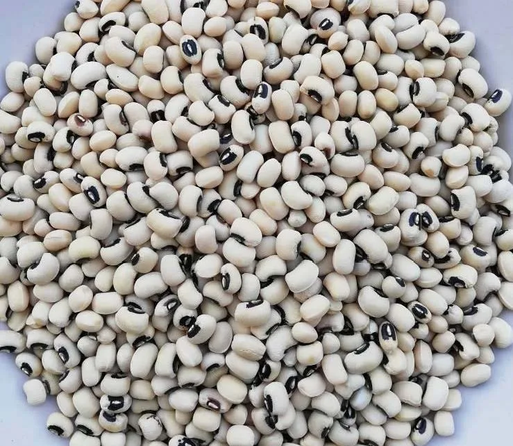 Non-GMO Black white Eye Cowpea Beans
