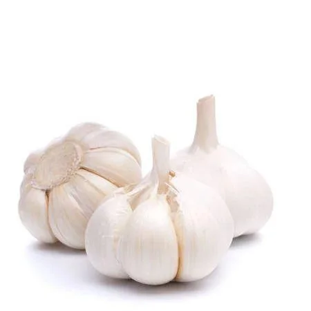 
Quality Big Size Fresh And Dry white Garlic from USA..... 