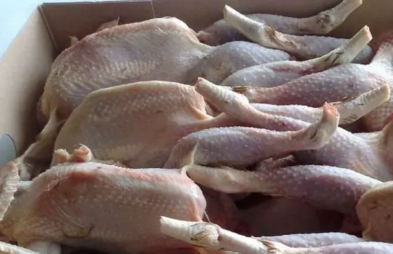 Халяльная замороженная цельная курица на продажу