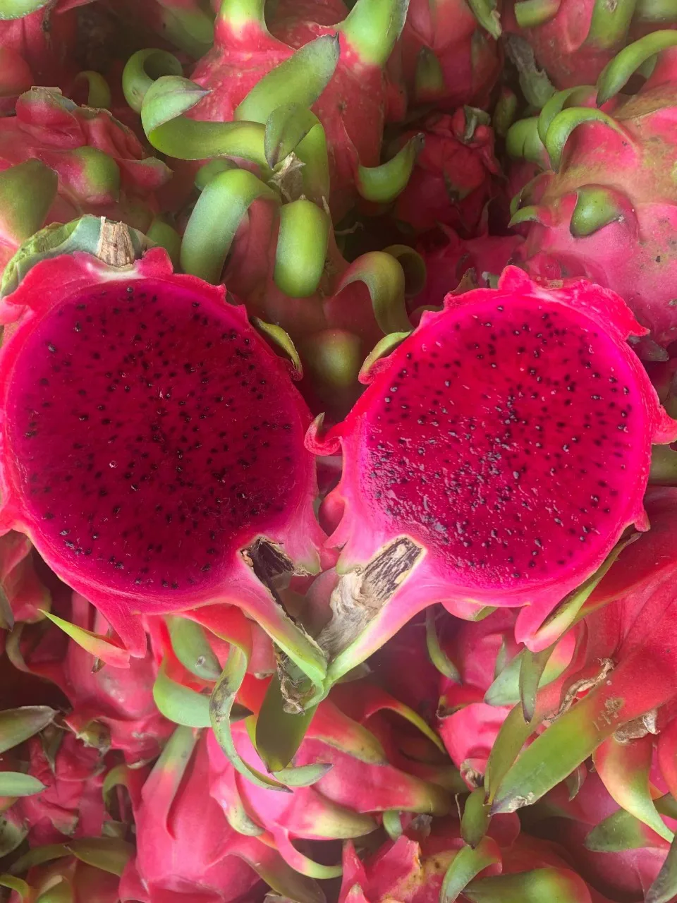 
[Hot] HASU Best Price New Crop Red Dragon Fruit Shipping From Vietnam With High Grade 2021 