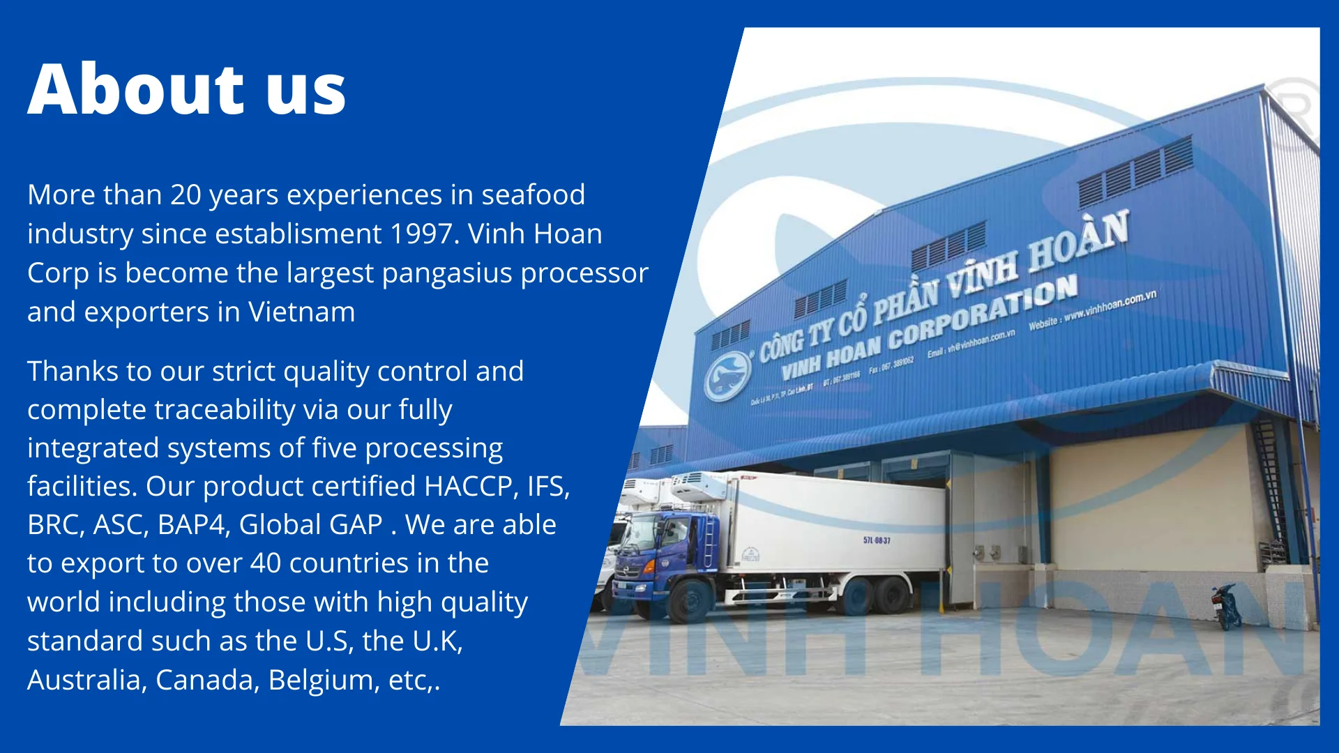 Top Seafood Exporter Premium Frozen Fresh Pangasius/ swai/basa Fillets