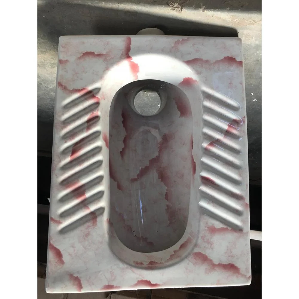 OEM New Design Asian Style WC Bathroom Toilet Durable Ceramic Sanitary Ware Product-Squatting Pan Porcelain in Printed Color