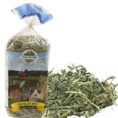Alfafa Hay for Animal Feeding