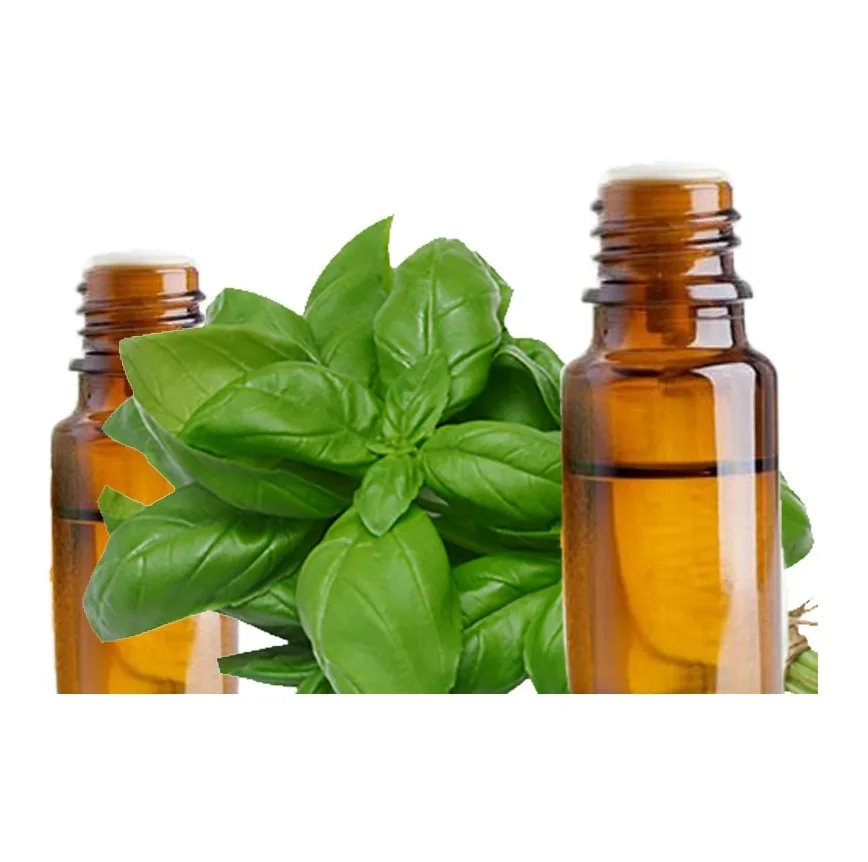 Wholesale Best Price Supplier of NATURAL BASIL OIL with Fast Delivery