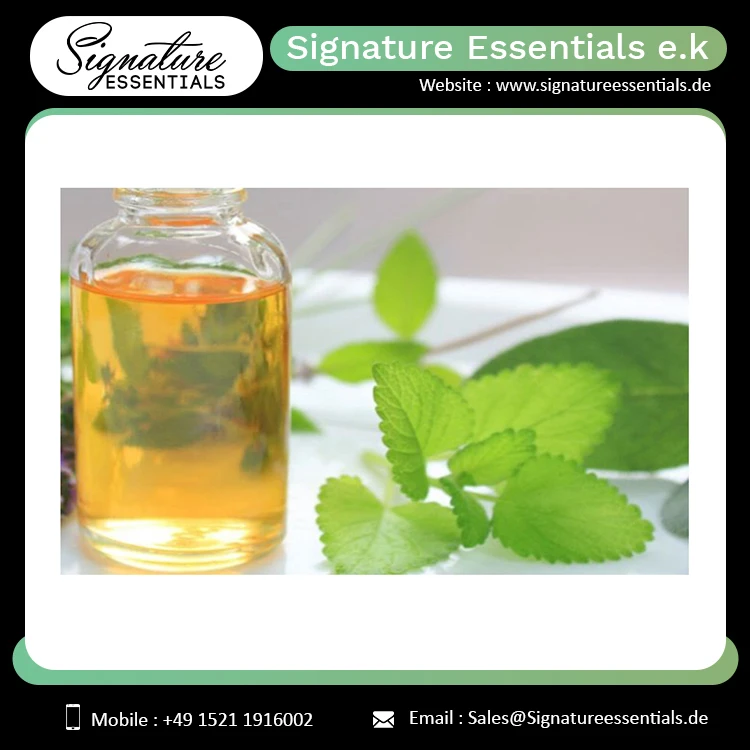 Best Selling  Cosmetic/Skin Care Use/ Medicinal Use Healthy Catnip Essential Oil (Nepeta cataria)