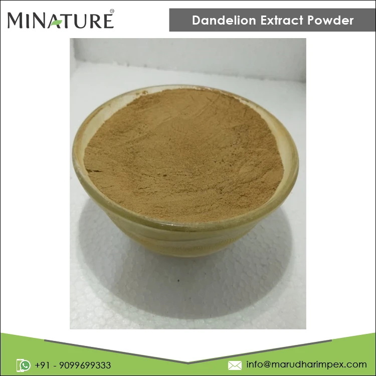 Leading Supplier of Hot Selling Best Quality 100% Pure Dandelion Extract Powder at Competitive Price