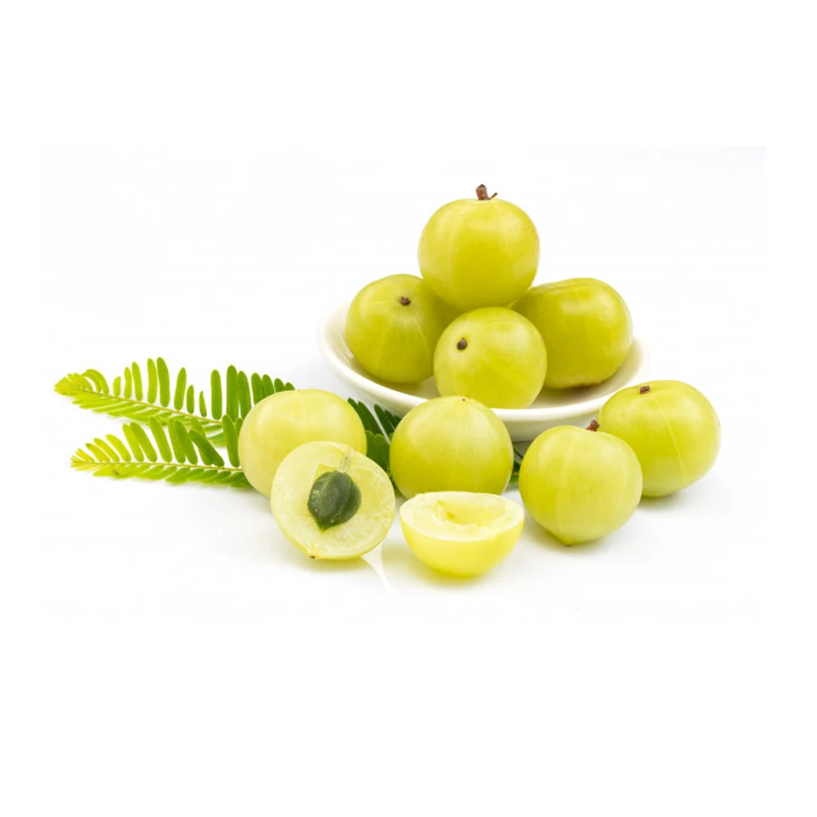 Top Grade OEM Indian Gooseberry Amla Powder Ayurveda Herbal Extract for Hair Growth Herbal Extract Powder Manufacturer
