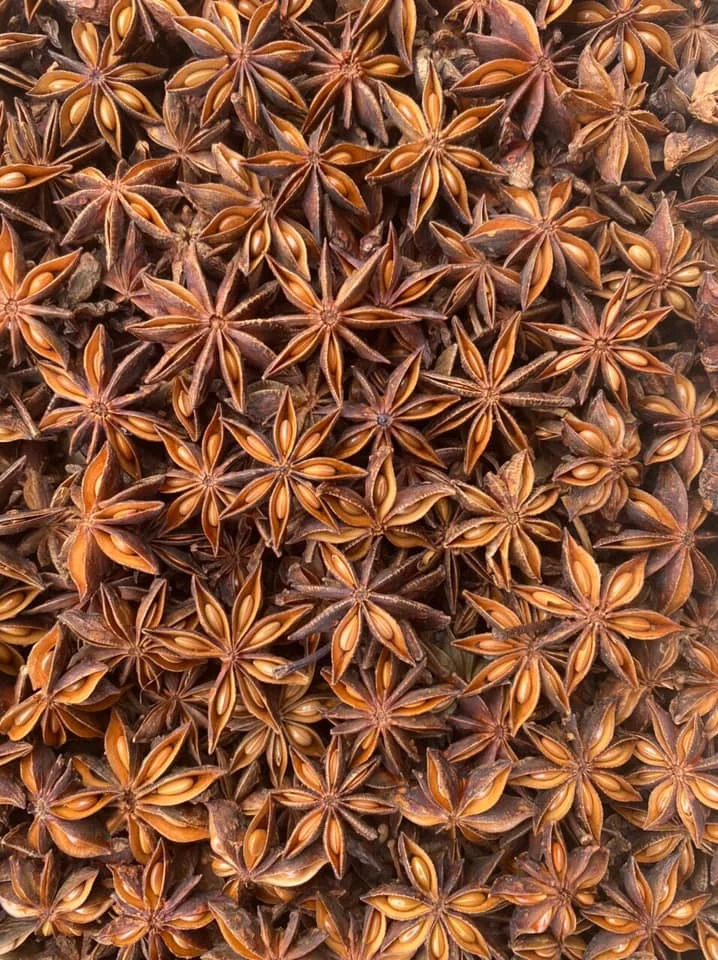 VIET NAM STAR ANISEED BIG SIZE FROM KINGPEPPER | Ms Lynn 0084 333 421 999