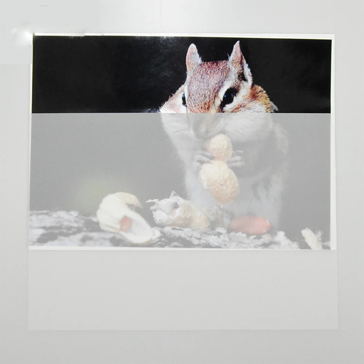 Double sided drawing drafting film mylar paper roll