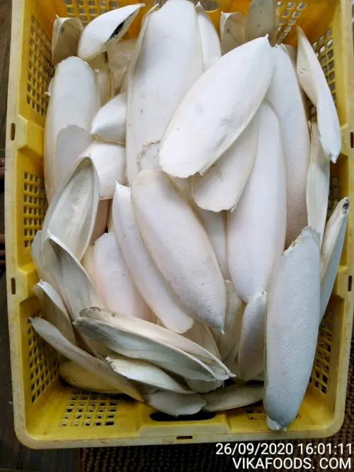 Хит продаж кости для шлепанцев травяные средства составной карбонат кальция из Вьетнама/Porter + 84896612931