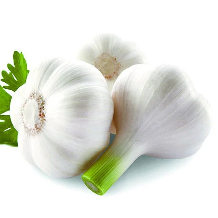 Египетский свежий красный чеснок для экспорта по всему миру