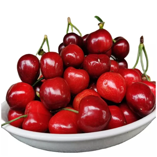 Wholesale Top Quality Fresh Cherries In Cheap Price