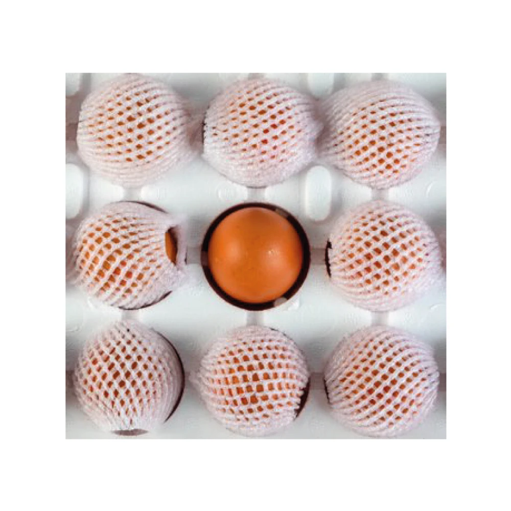 High Quality Organic Certified Free Range Chicken Eggs Wholesale Product - Medium Size 53-62 Grams