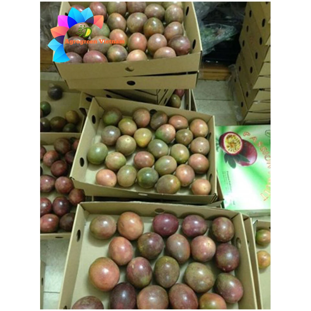 Frozen Passion Puree/Pulp/Juice