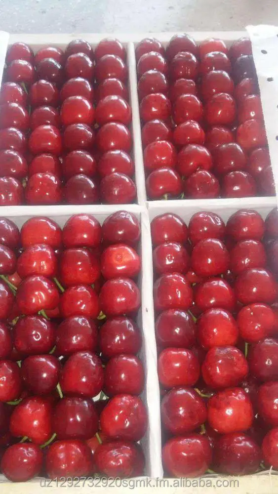 Fresh Farm Cherries