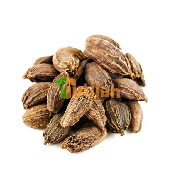 TOP SALE SINGLE SPICES & HERBS HIGH QUALITY NATURAL CARDAMOM